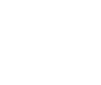 Miami Gala logo placeholder