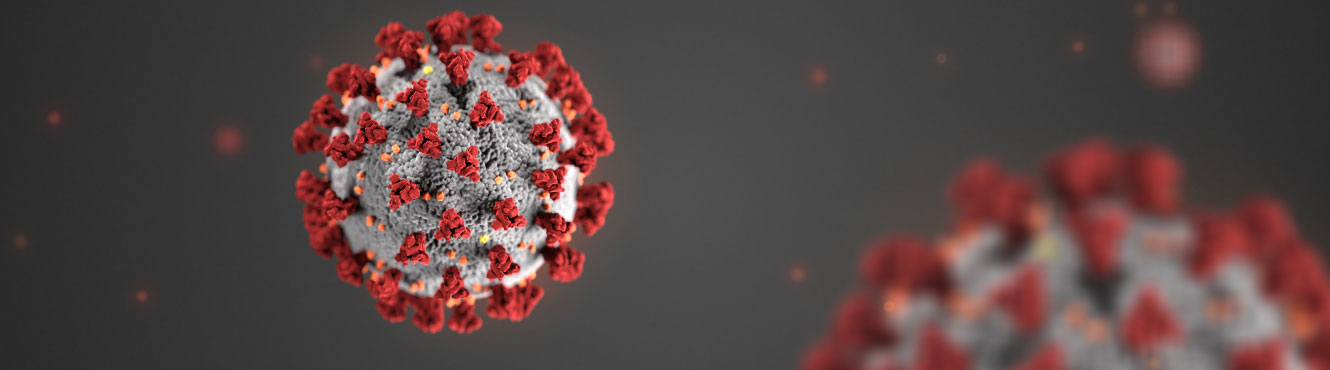 Coronavirus image