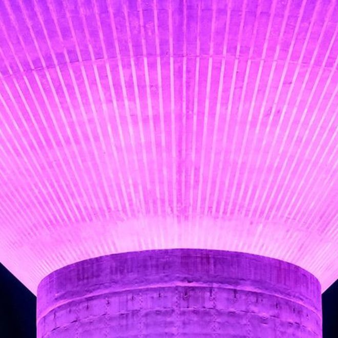 Boynton Beach Water Tower Lit Purple for Best Buddies