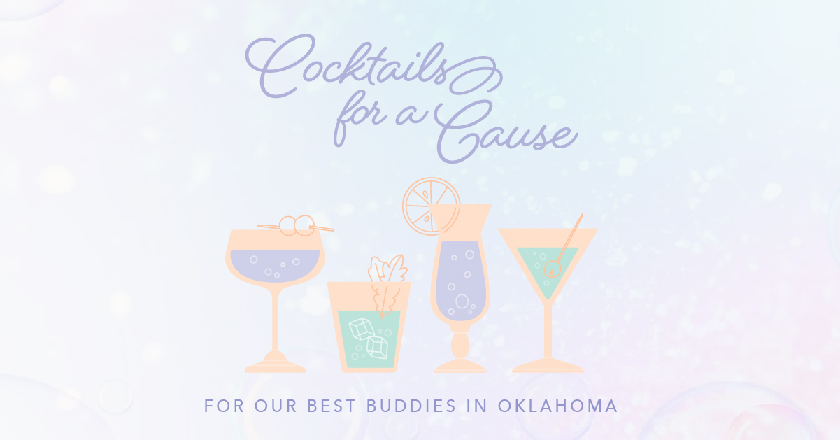 Best Buddies in Oklahoma Cocktails for a Cause Banner