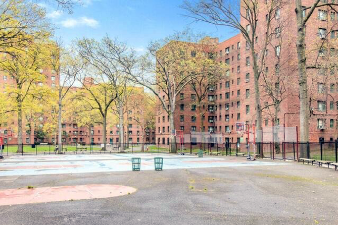Deeper Sense of Belonging: One Perspective on Black History Month: A brick Apartment Building in Bronx, New York