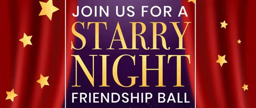 Starry Night Friendship Ball