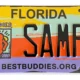 Best Buddies Specialty License Plate