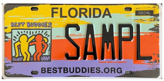 Best Buddies speciality license plate