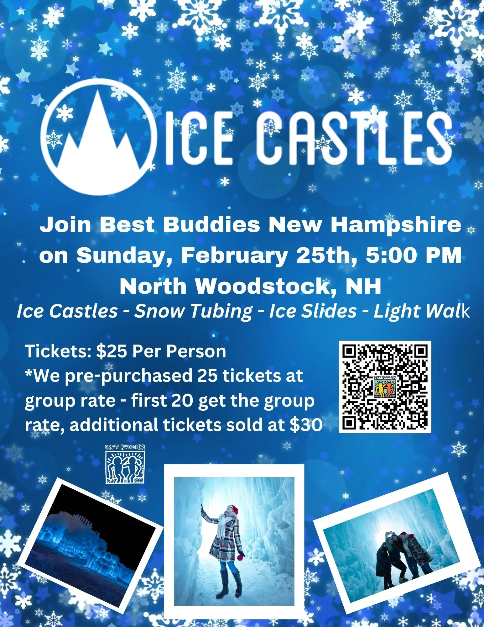 Ice castles event flyer