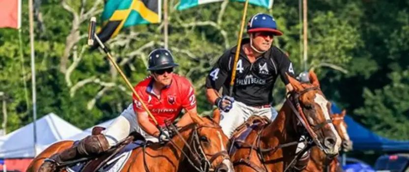 All Charity Day at Newport International Polo Grounds